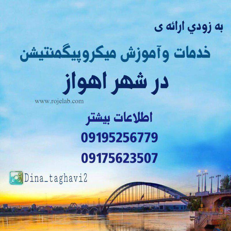 آموزش تخصصی میکروپیگمنتیشن بهترین مدرس تاتو