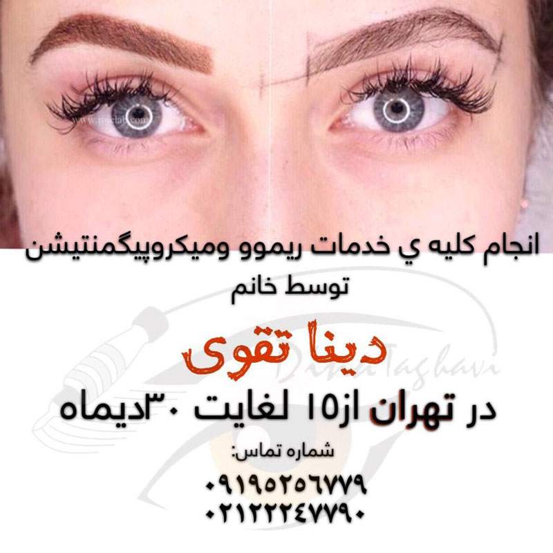 آموزش تخصصی میکروپیگمنتیشن بهترین مدرس تاتو